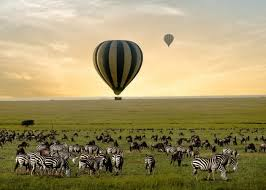 Balloon Safari Sunrise